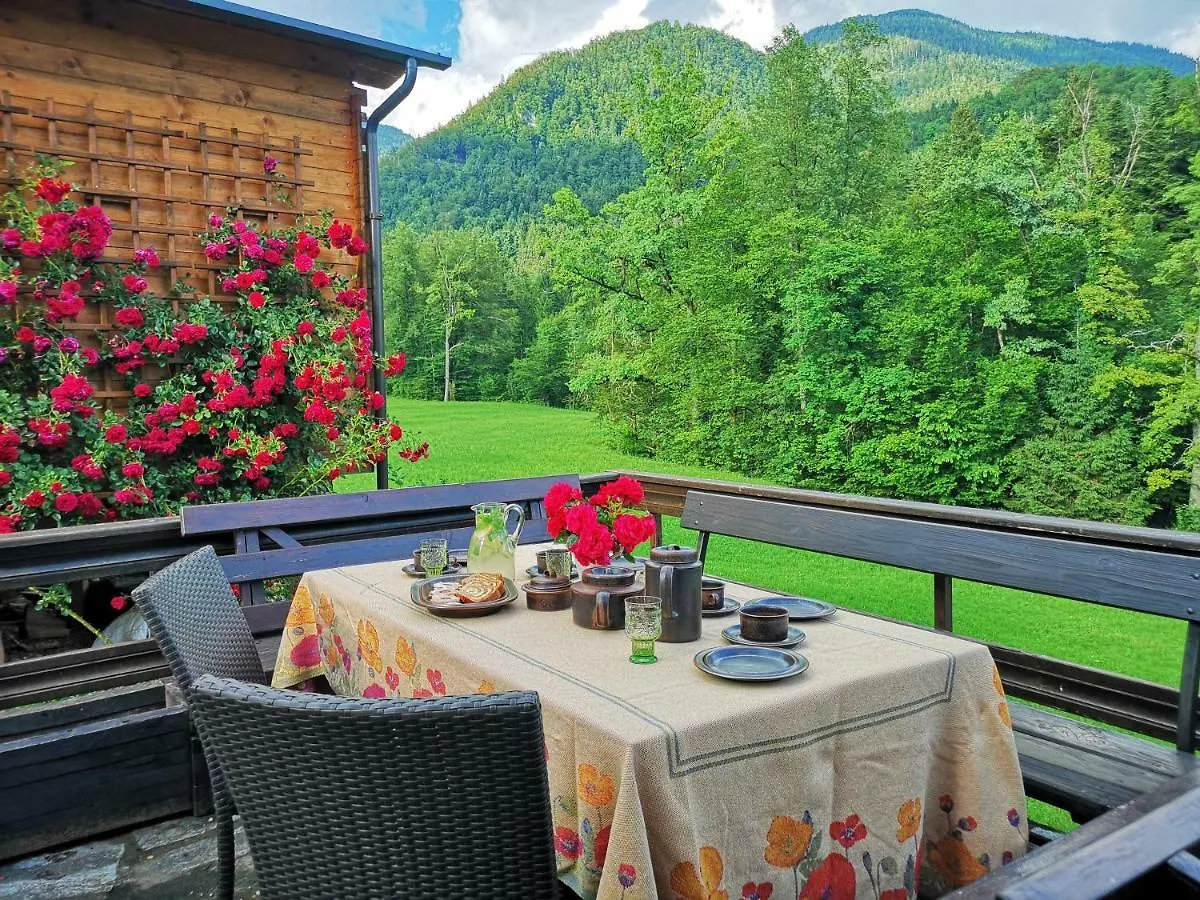 Holiday House Red Deer Preddvor Slovenia